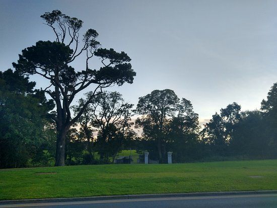 Santry Community Garden